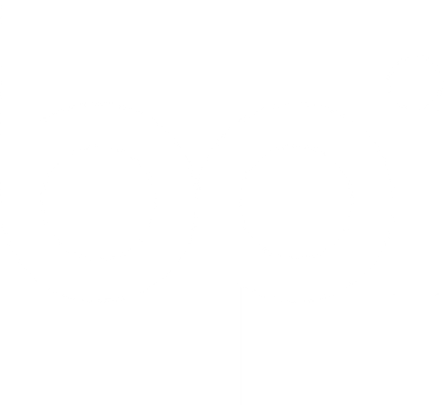 BPI logo